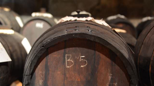 During our Bologna Cooking Vacation we cannot miss a visit to a Balsamic Vinegar producer in Modena